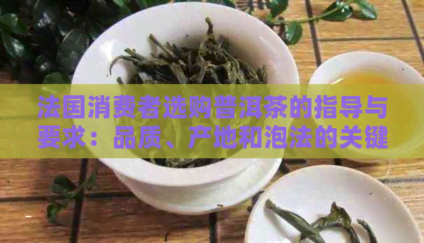 法国消费者选购普洱茶的指导与要求：品质、产地和泡法的关键要素