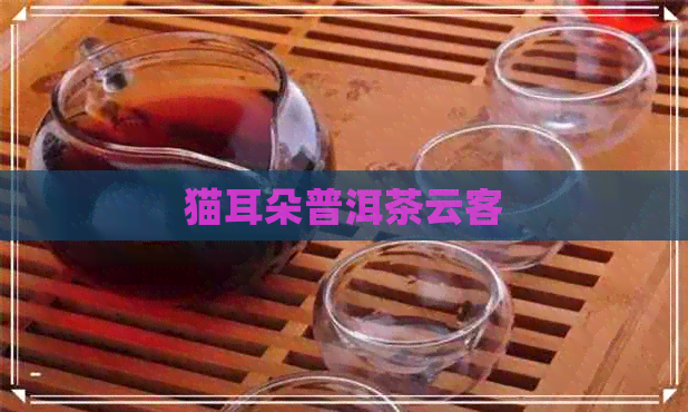 猫耳朵普洱茶云客