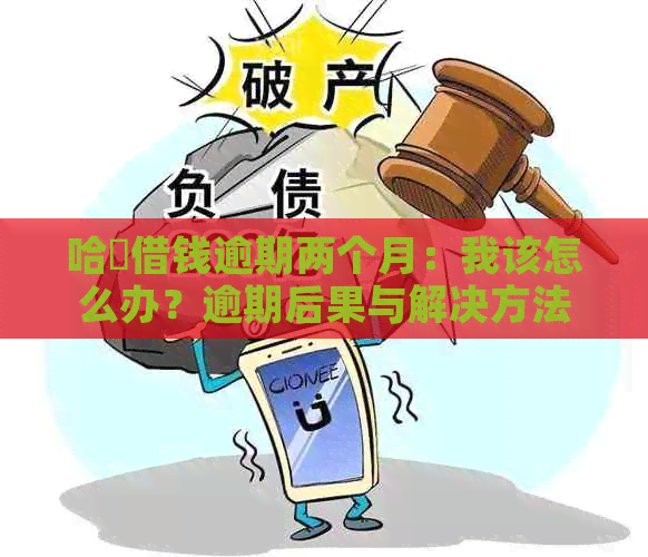 哈啰借钱逾期两个月：我该怎么办？逾期后果与解决方法全面解析