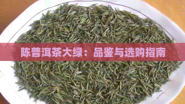 陈普洱茶大绿：品鉴与选购指南