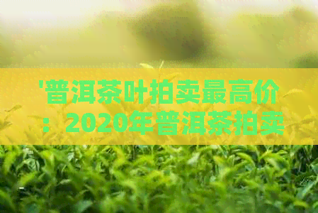 '普洱茶叶拍卖更高价：2020年普洱茶拍卖会更高价格揭晓'