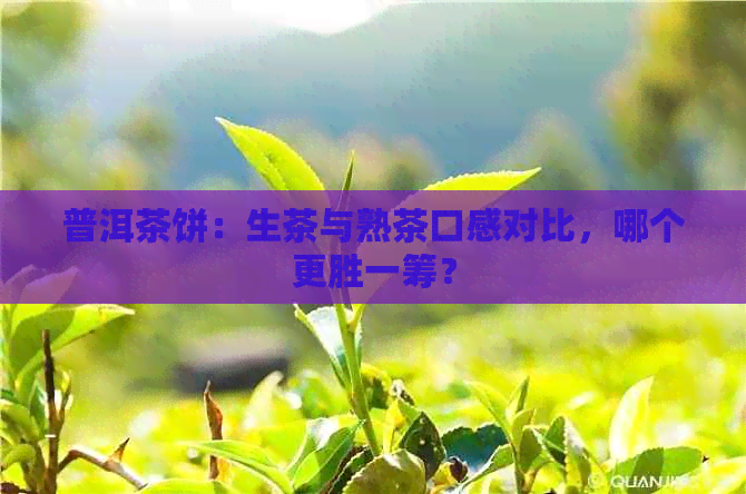 普洱茶饼：生茶与熟茶口感对比，哪个更胜一筹？