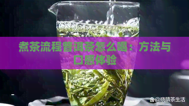 煮茶流程普洱茶怎么喝：方法与口感体验