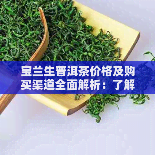 宝兰生普洱茶价格及购买渠道全面解析：了解最新行情与如何挑选正品