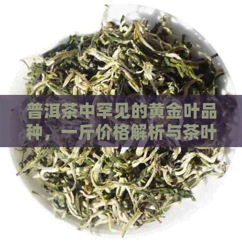 普洱茶中罕见的黄金叶品种，一斤价格解析与茶叶批发指南