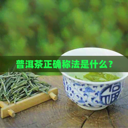 普洱茶正确称法是什么？