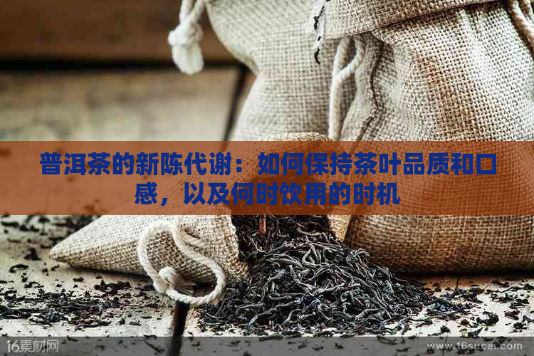 普洱茶的新陈代谢：如何保持茶叶品质和口感，以及何时饮用的时机