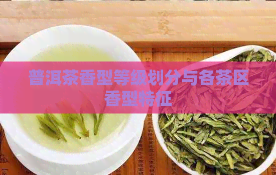 普洱茶香型等级划分与各茶区香型特征