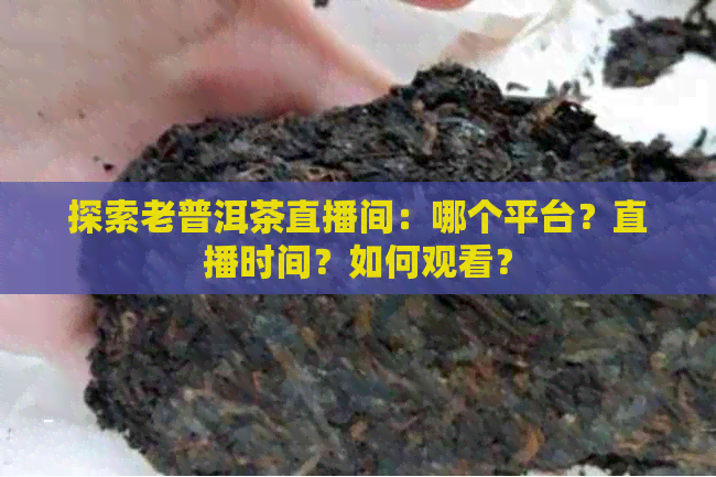 探索老普洱茶直播间：哪个平台？直播时间？如何观看？