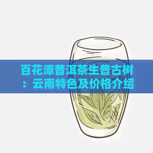 百花潭普洱茶生普古树：云南特色及价格介绍