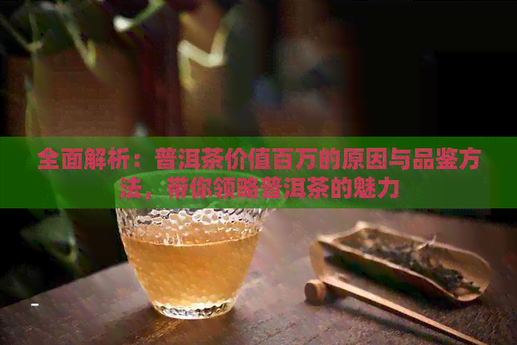 全面解析：普洱茶价值百万的原因与品鉴方法，带你领略普洱茶的魅力