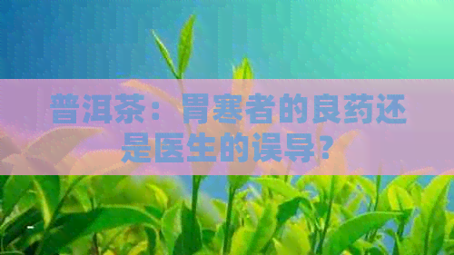 普洱茶：胃寒者的良药还是医生的误导？