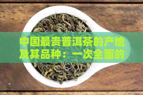 中国最贵普洱茶的产地及其品种：一次全面的解答