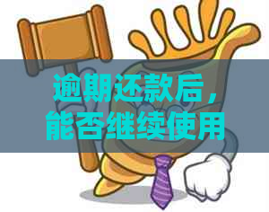 逾期还款后，能否继续使用信用卡代还服务？