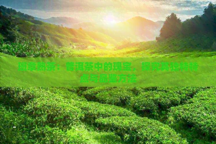 班章熟茶：普洱茶中的瑰宝，探究其独特特点与品鉴方法