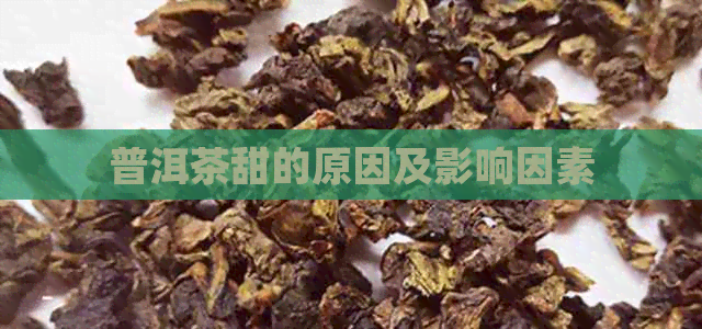 普洱茶甜的原因及影响因素