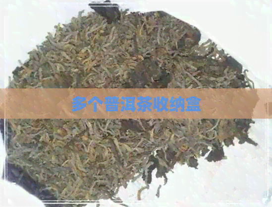 多个普洱茶收纳盒