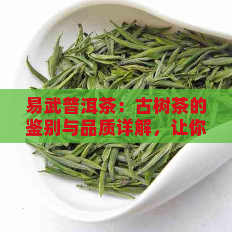 易武普洱茶：古树茶的鉴别与品质详解，让你全面了解易武茶的特点