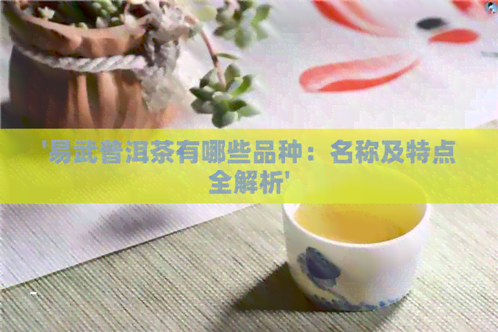 '易武普洱茶有哪些品种：名称及特点全解析'