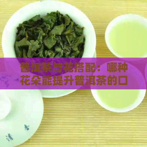 普洱茶与花搭配：哪种花朵能提升普洱茶的口感？如何选择和冲泡？