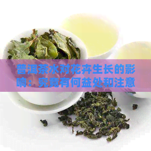 普洱茶水对花卉生长的影响：究竟有何益处和注意事项？