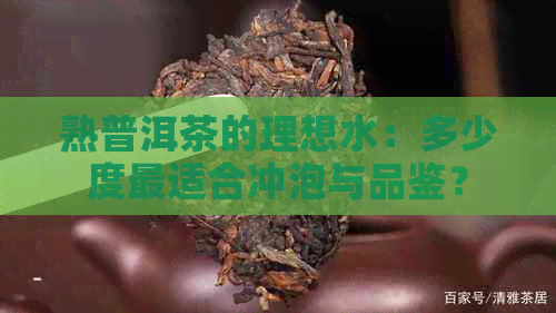 熟普洱茶的理想水：多少度最适合冲泡与品鉴？