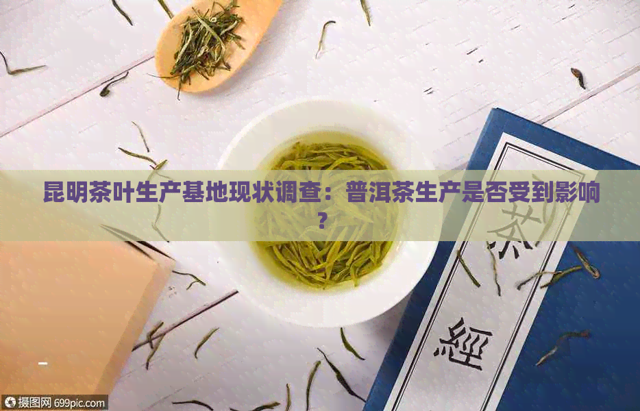 昆明茶叶生产基地现状调查：普洱茶生产是否受到影响？