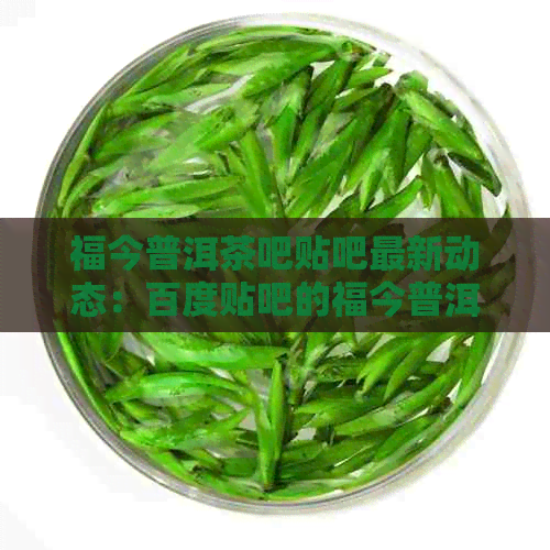 福今普洱茶吧贴吧最新动态：百度贴吧的福今普洱茶吧社区消息