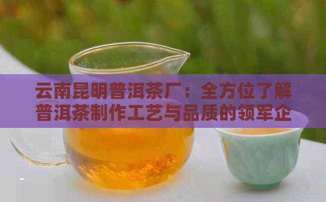 云南昆明普洱茶厂：全方位了解普洱茶制作工艺与品质的领军企业