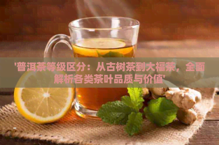 '普洱茶等级区分：从古树茶到大福茶，全面解析各类茶叶品质与价值'