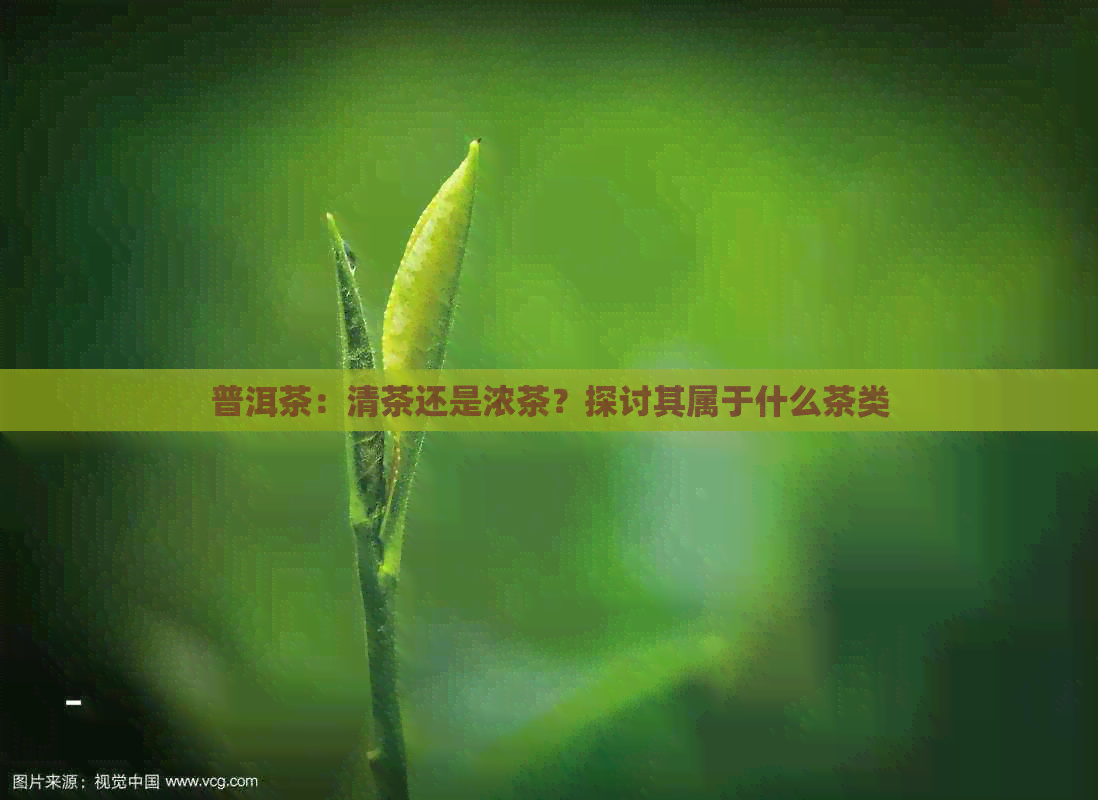 普洱茶：清茶还是浓茶？探讨其属于什么茶类