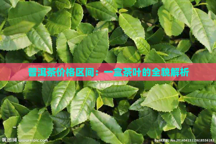 普洱茶价格区间：一盒茶叶的全貌解析