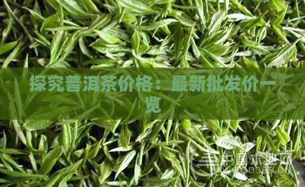 探究普洱茶价格：最新批发价一览