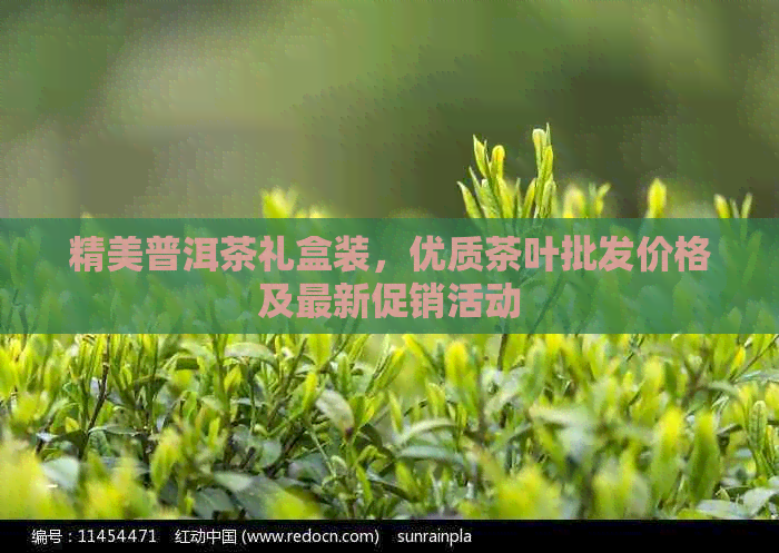 精美普洱茶礼盒装，优质茶叶批发价格及最新促销活动