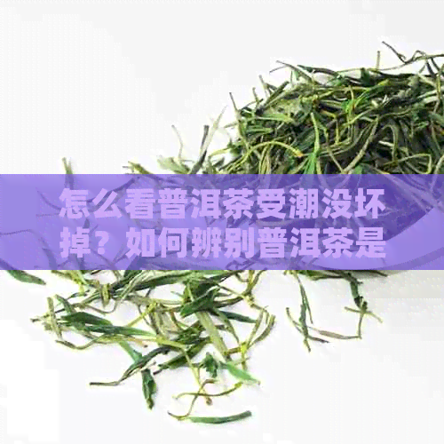 怎么看普洱茶受潮没坏掉？如何辨别普洱茶是否受潮发霉或变质？