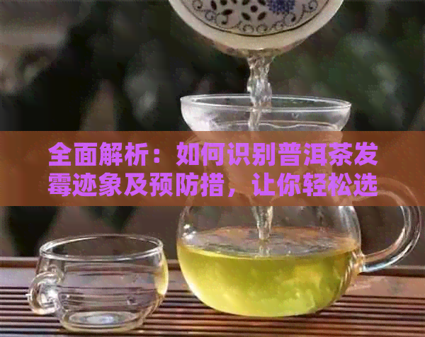 全面解析：如何识别普洱茶发霉迹象及预防措，让你轻松选购正品普洱茶