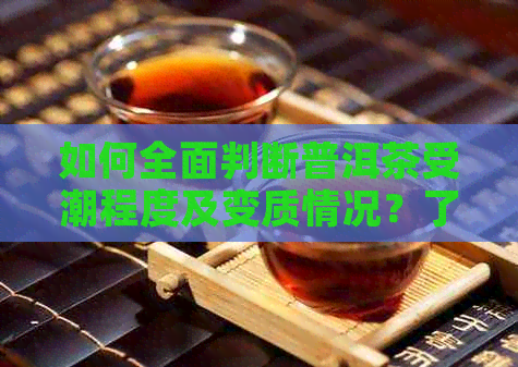 如何全面判断普洱茶受潮程度及变质情况？了解这五个步骤就够了！