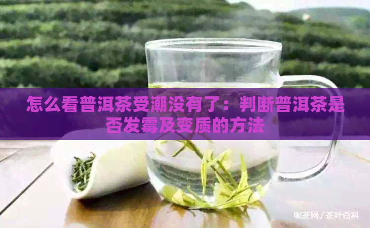 怎么看普洱茶受潮没有了：判断普洱茶是否发霉及变质的方法