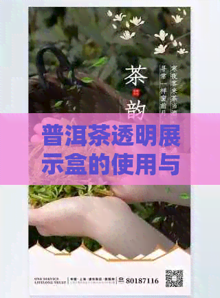 普洱茶透明展示盒的使用与存放：实践与注意事项