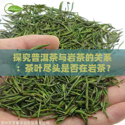 探究普洱茶与岩茶的关系：茶叶尽头是否在岩茶？