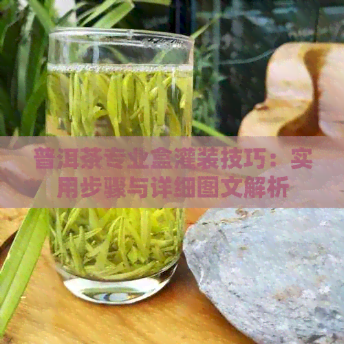 普洱茶专业盒灌装技巧：实用步骤与详细图文解析