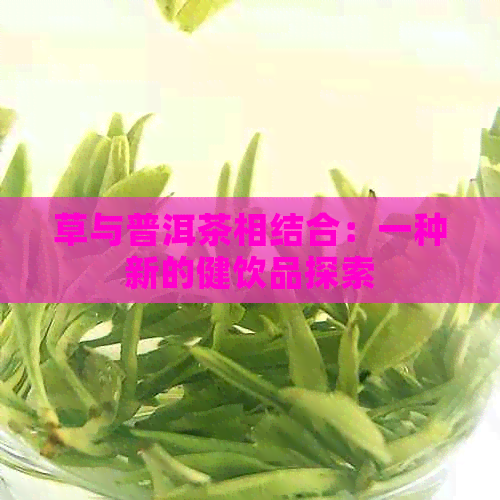 草与普洱茶相结合：一种新的健饮品探索