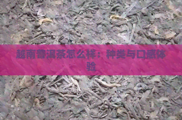 越南普洱茶怎么样：种类与口感体验