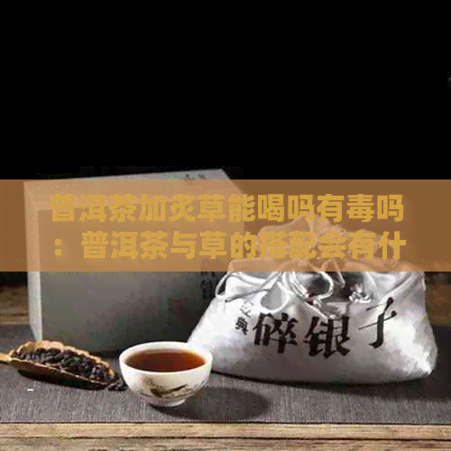 普洱茶加炙草能喝吗有吗：普洱茶与草的搭配会有什么功效？