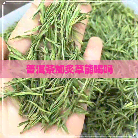 普洱茶加炙草能喝吗