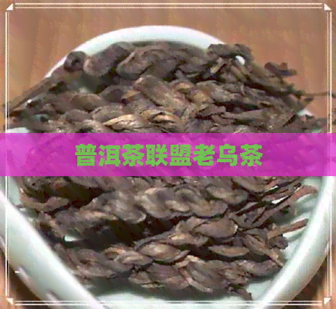 普洱茶联盟老乌茶