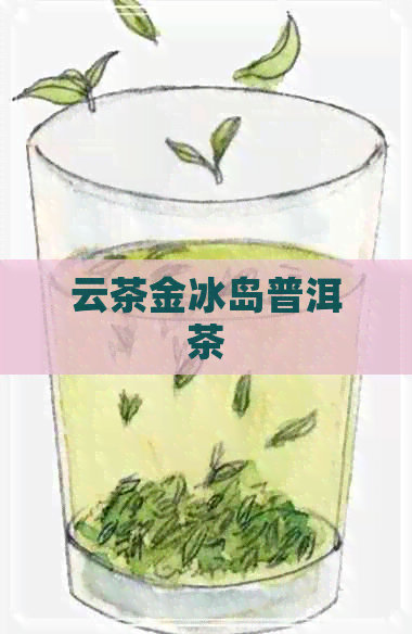 云茶金冰岛普洱茶