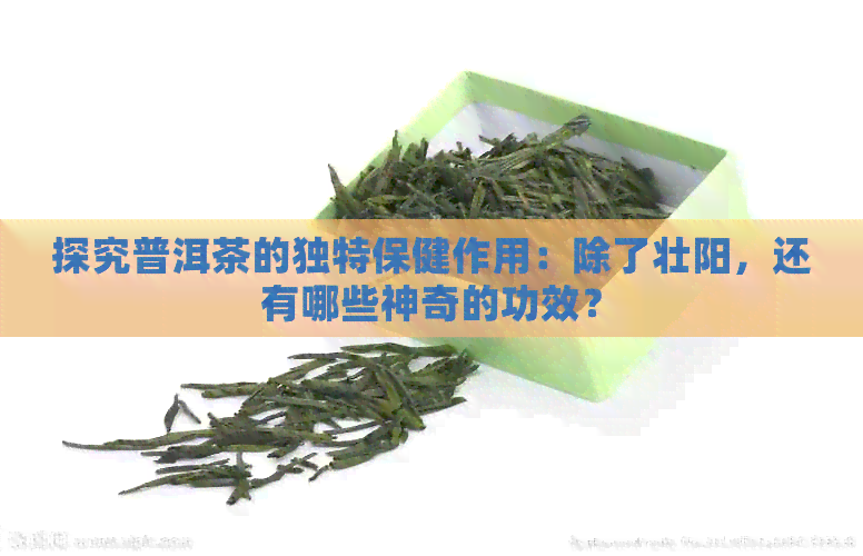 探究普洱茶的独特保健作用：除了壮阳，还有哪些神奇的功效？