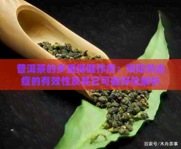 普洱茶的多重保健作用：预防败血症的有效性及其它可能好处解析