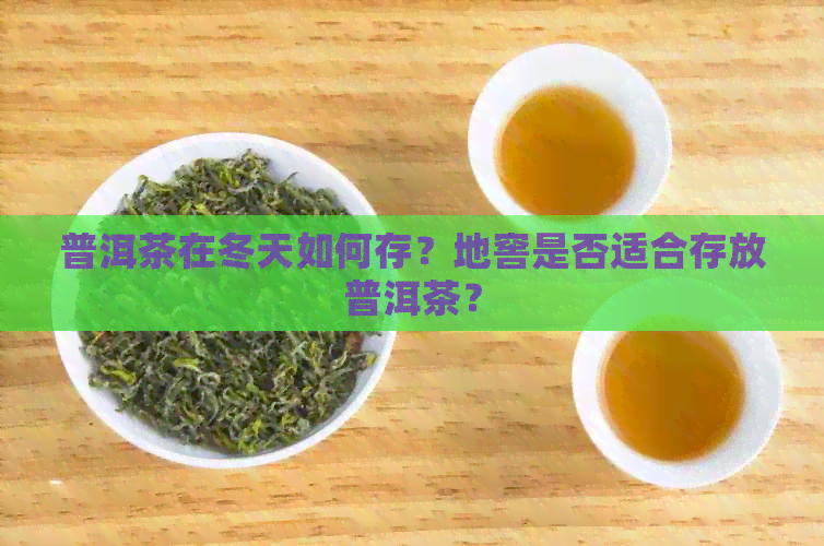 普洱茶在冬天如何存？地窖是否适合存放普洱茶？